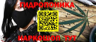 шишки Владивосток