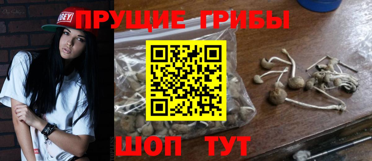 Обь  Псилоцибиновые грибы GOLDEN TEACHER  Вход с VPN  Галлюциногенные грибы мухоморы 