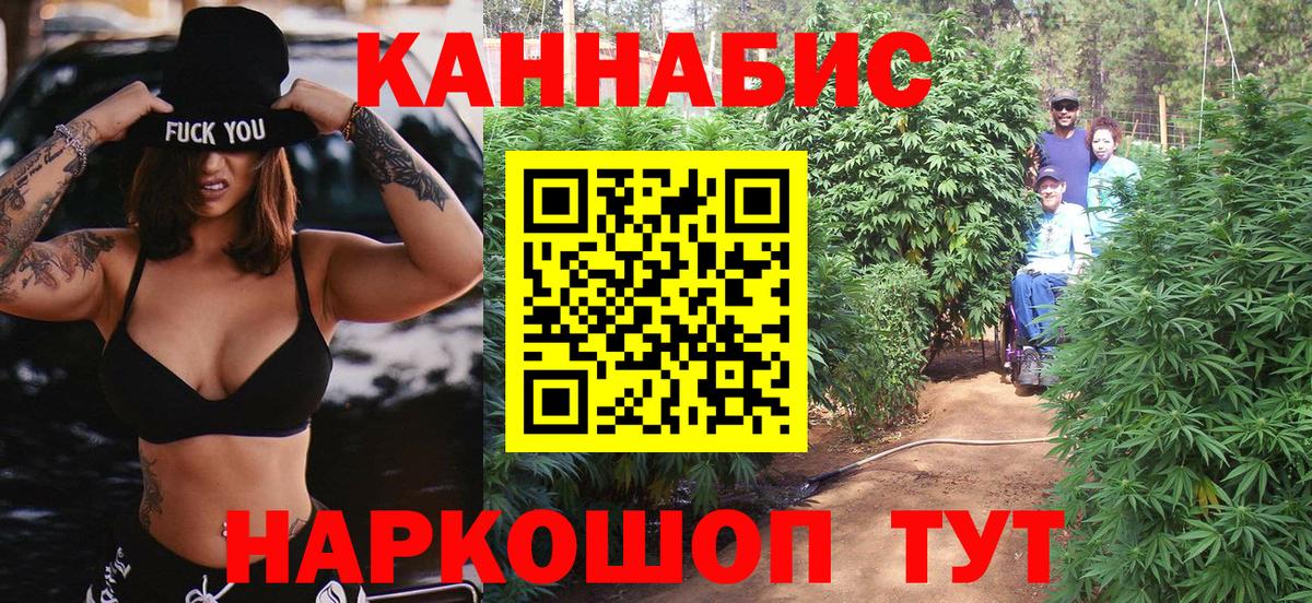 Канабис конопля Обь